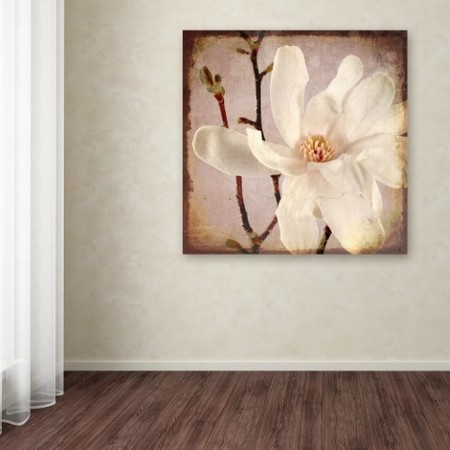 Trademark Fine Art LightBoxJournal 'Paper Magnolia Closeup' Canvas Art, 14x14 ALI10409-C1414GG